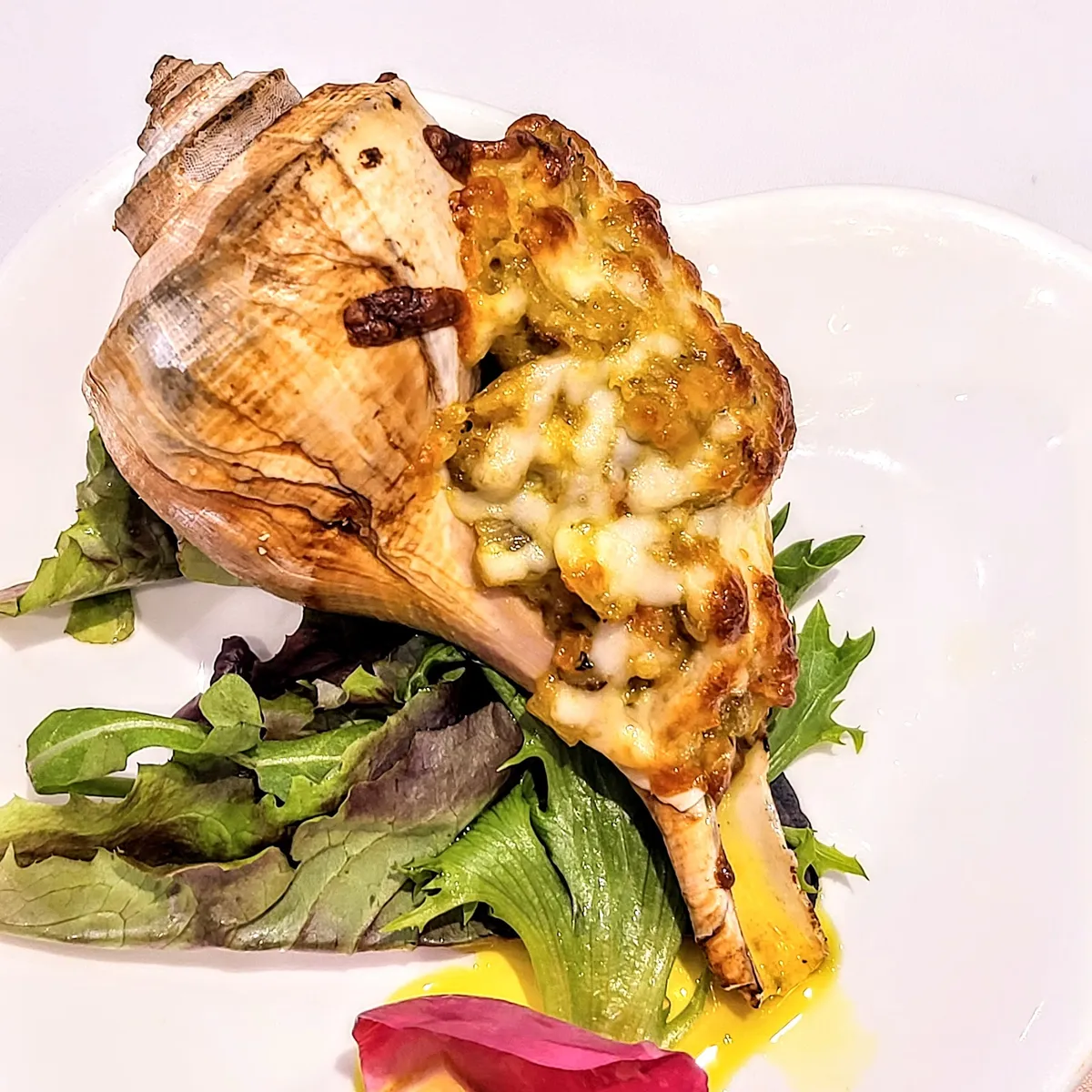 Baked conch with cheese and greens on a white plate